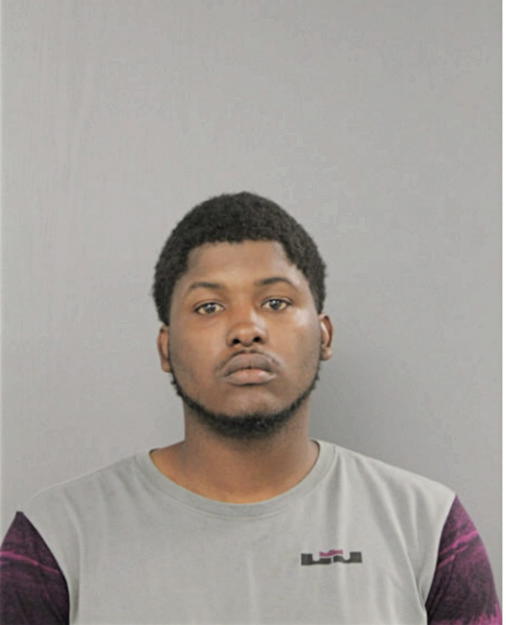 MICHAEL K THOMPSON, Cook County, Illinois