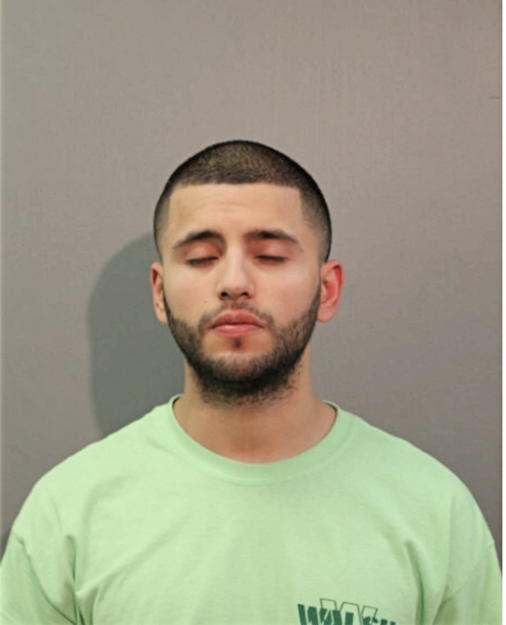 LUIS A VENTURA, Cook County, Illinois