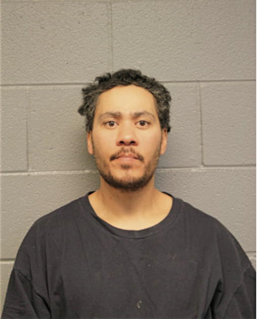 STEVEN F WILLIAMS, Cook County, Illinois