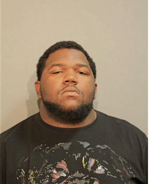 MICHAEL M WRIGHT, Cook County, Illinois