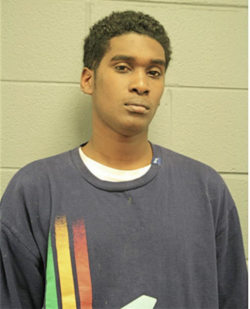 DEWAYNE L YOUNG, Cook County, Illinois