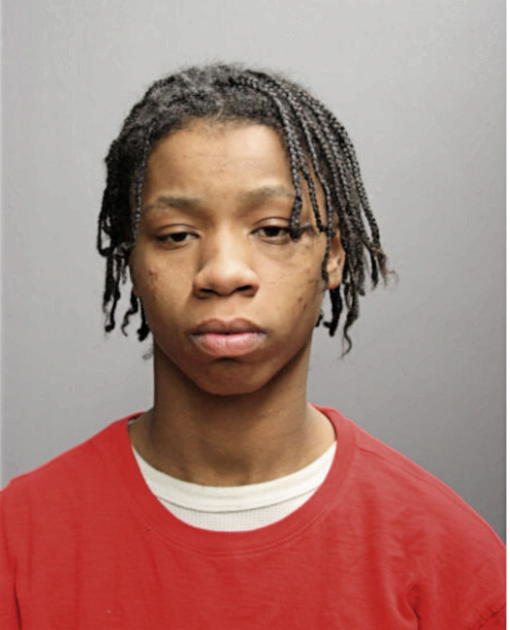 ERICA BRADFORD, Cook County, Illinois