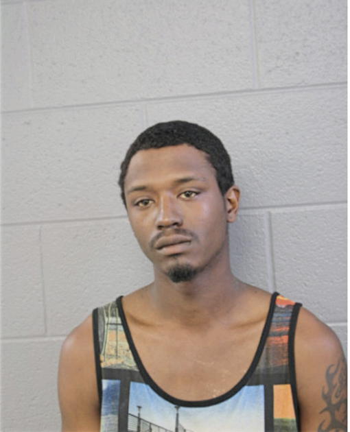 MICHAEL M DAVIS, Cook County, Illinois
