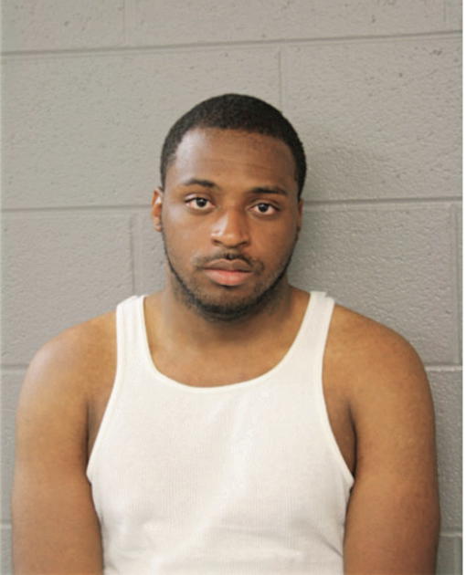 DAVID D FERGUSON, Cook County, Illinois