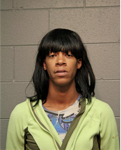 KENNETH L FLOYD, Cook County, Illinois
