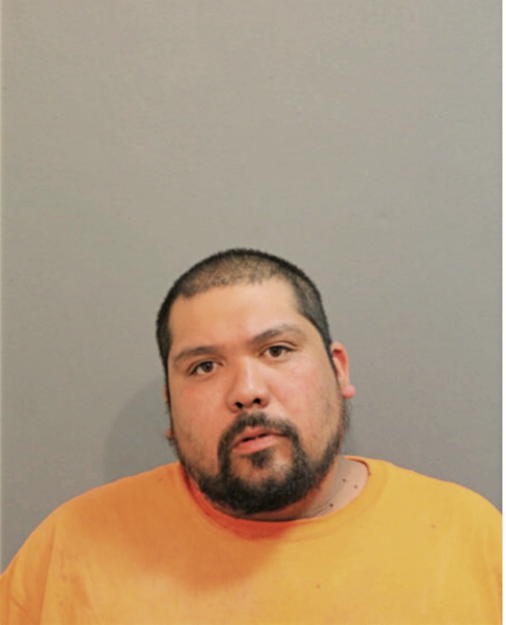 RONALD E GARCIA, Cook County, Illinois