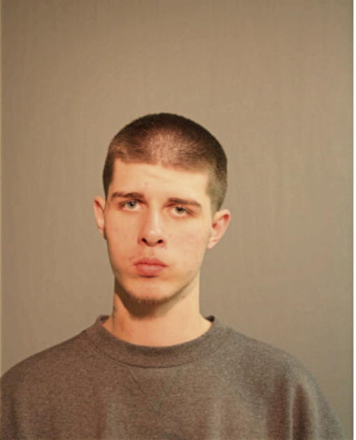 JOEY GREEN, Cook County, Illinois
