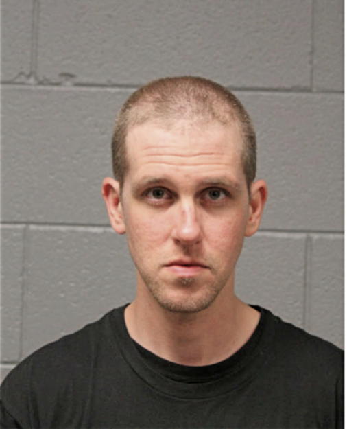 JOEL R HOLZBERG, Cook County, Illinois