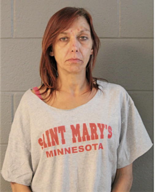 DEBRA S HYDE, Cook County, Illinois