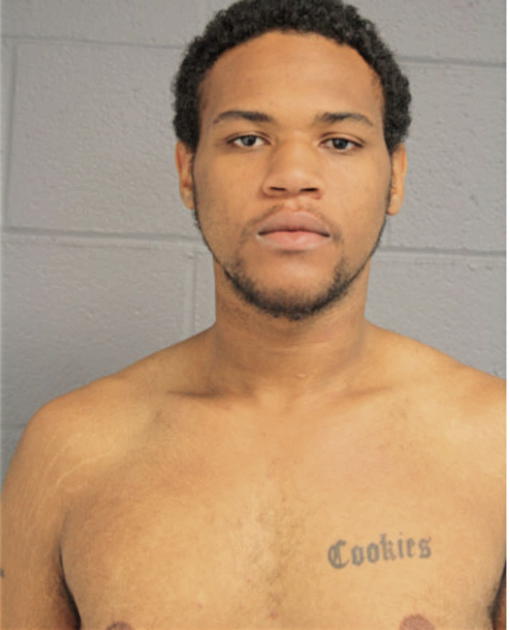 BRANDON M JOHNSON, Cook County, Illinois