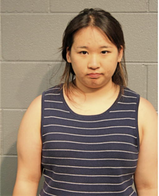 JIEUN KIM, Cook County, Illinois