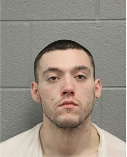 SILVAN KRZALIC, Cook County, Illinois