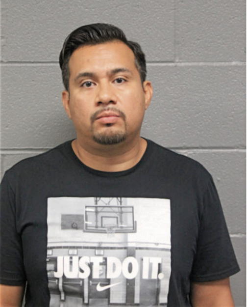 LUIS E LEAL, Cook County, Illinois