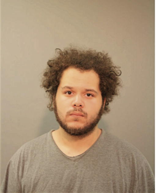 SEAN B LEWIS, Cook County, Illinois