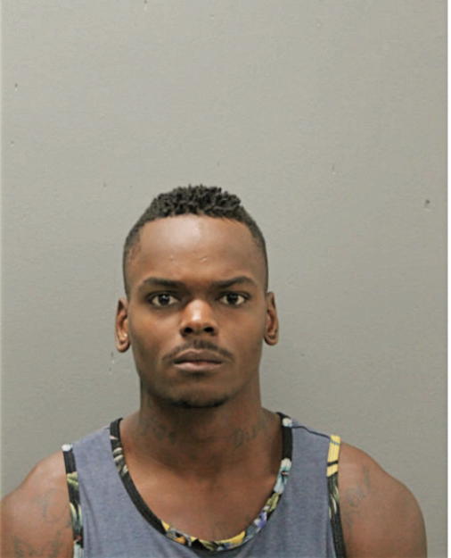ISSAC L MANNING, Cook County, Illinois