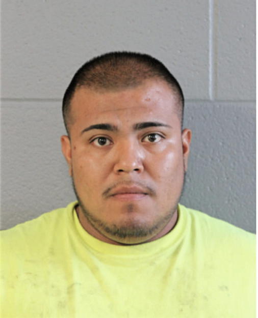 ANDHER N MARQUEZ, Cook County, Illinois