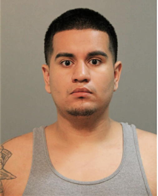 FABIAN MARTINEZ, Cook County, Illinois