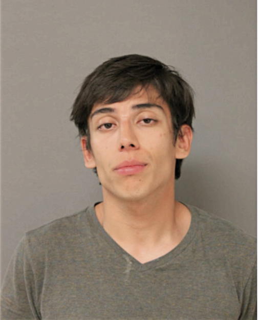 SEBASTIAN MARTINEZ, Cook County, Illinois