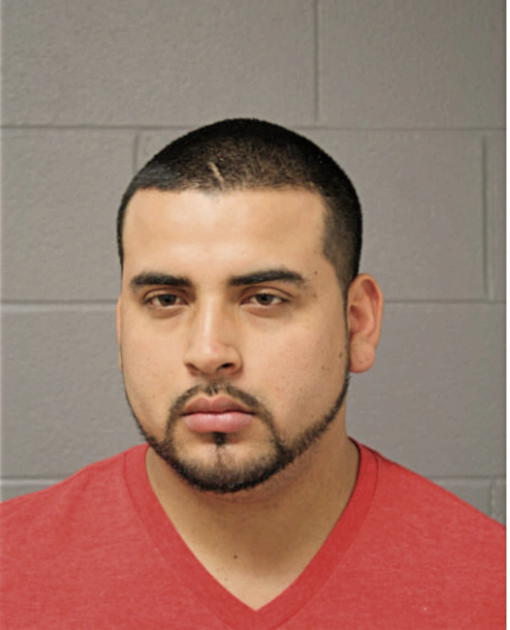 JUAN LUIS MEDINA, Cook County, Illinois