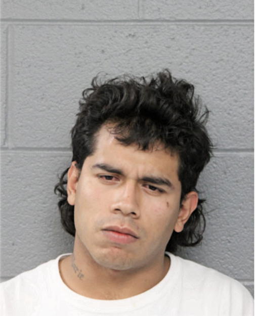 ANTONIO MENDIA, Cook County, Illinois