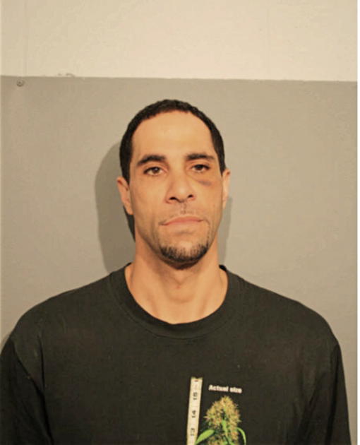 ROBERT H MOSLEY, Cook County, Illinois