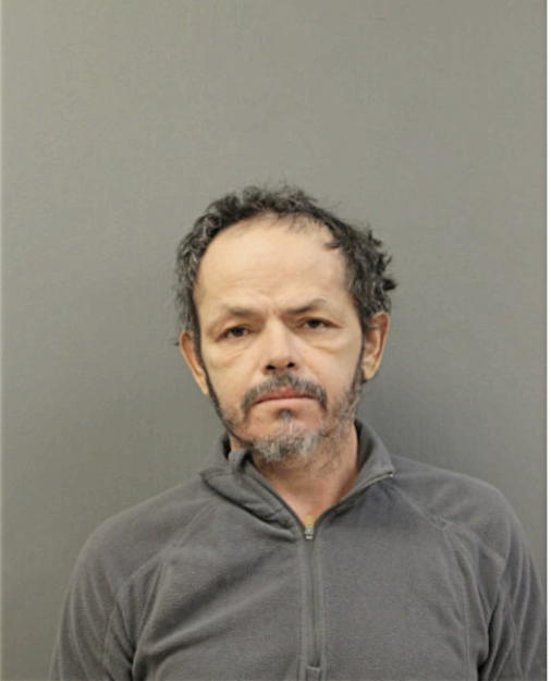 ANGEL M NEGRON, Cook County, Illinois