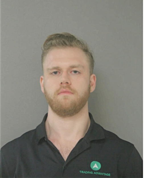 ANDREW D NELSON, Cook County, Illinois