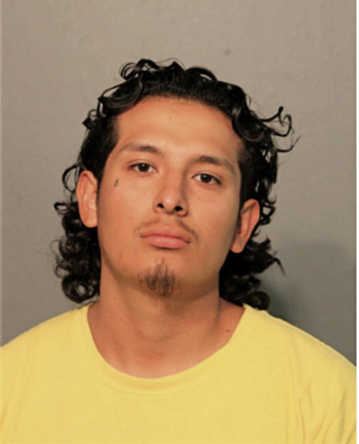 ALEX ORTIZ, Cook County, Illinois
