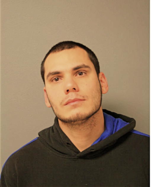 ADAM M ZIOLKOWSKI, Cook County, Illinois