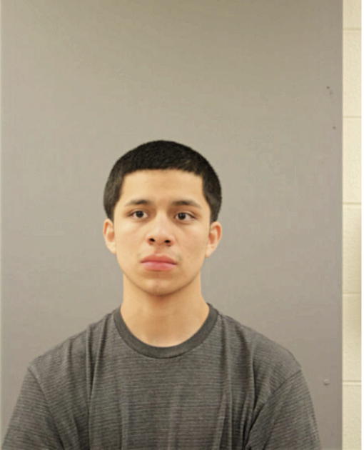 DIEGO A ALVAREZ, Cook County, Illinois