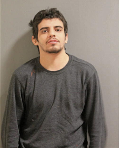 JAVONNI J AVILA, Cook County, Illinois