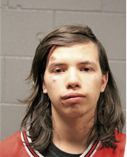 LUIS A BARRAZA, Cook County, Illinois