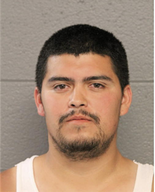 JACOB M CAMARENA, Cook County, Illinois