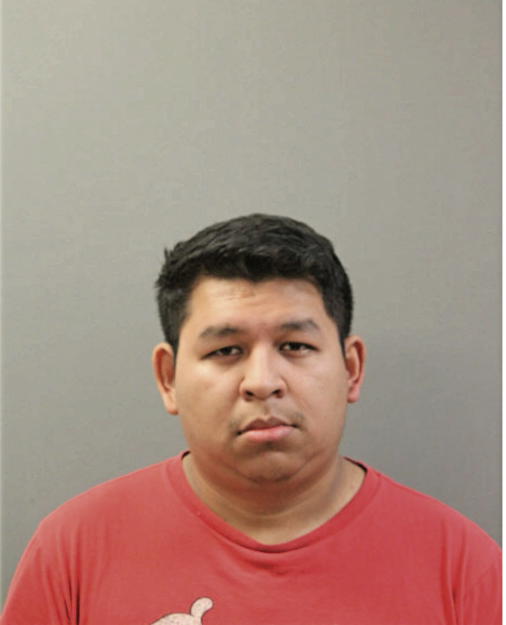 RICARDO DELGADO, Cook County, Illinois