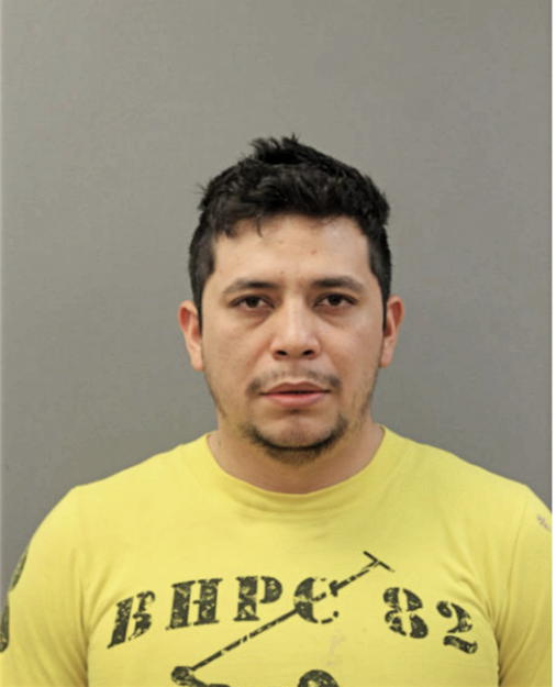MARCO J FREIRE BASANTES, Cook County, Illinois