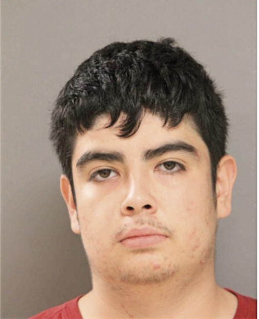GUILLERMO C GONZALEZ, Cook County, Illinois