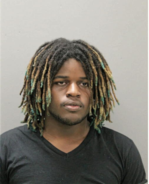 TERRELL M JOHNSON, Cook County, Illinois