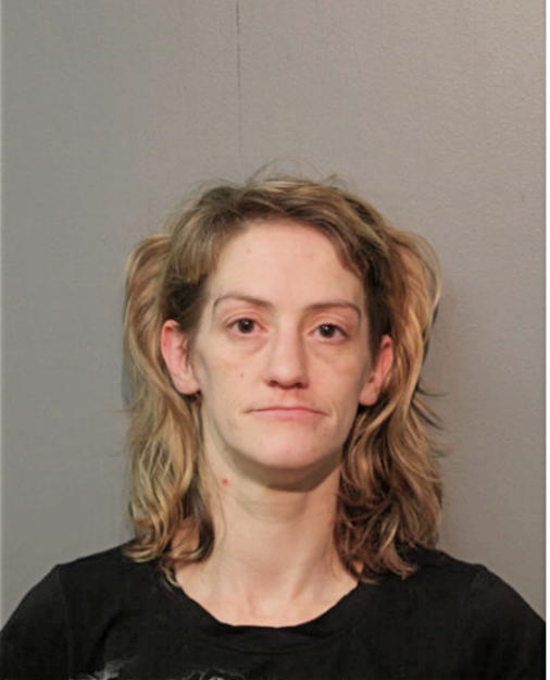 DEANNA M LUETY, Cook County, Illinois