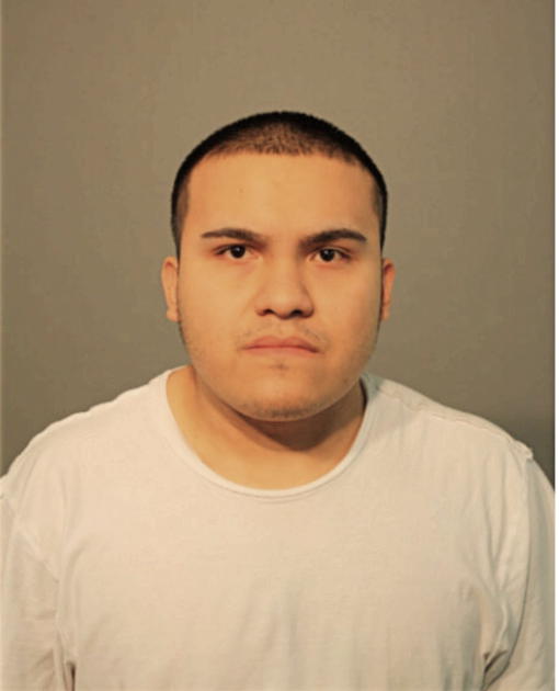 EDGAR MEMIJE-SALGADO, Cook County, Illinois