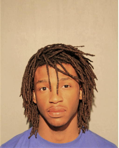 DAVID M MONTGOMERY, Cook County, Illinois