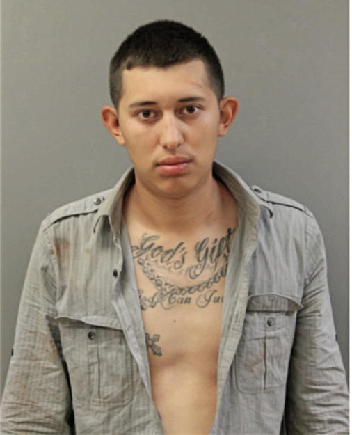 ESTEBAN MUNOZ, Cook County, Illinois