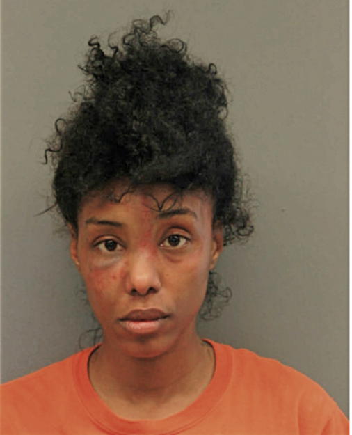 COURTNEY M NESBITT, Cook County, Illinois