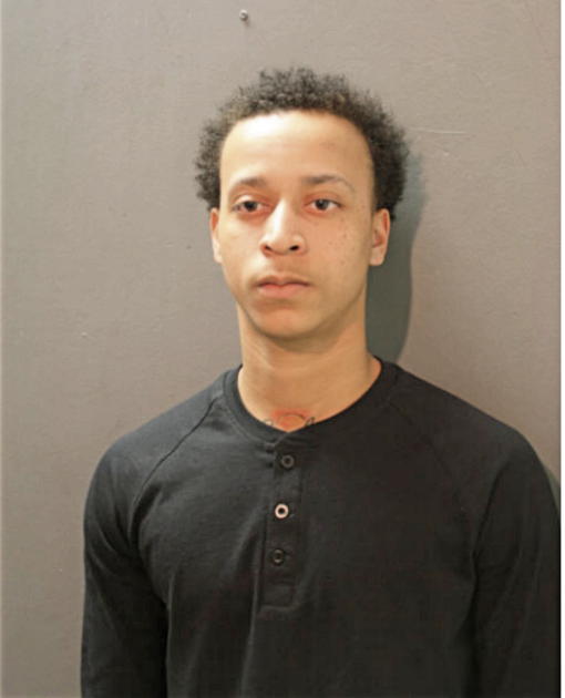 VISHAUN T PERKINS, Cook County, Illinois