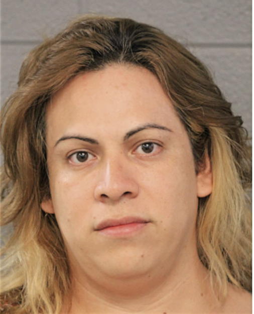 ANAIN SANCHEZ, Cook County, Illinois