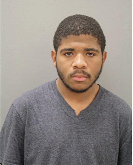 ANDY D THOMAS, Cook County, Illinois