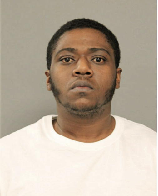 JOSHUA L WATSON, Cook County, Illinois