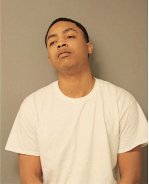 DEVON L WHITE, Cook County, Illinois