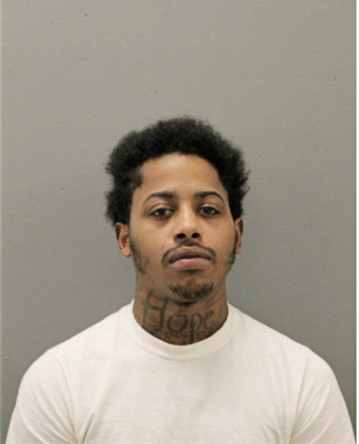 ROBERT M WHITE, Cook County, Illinois