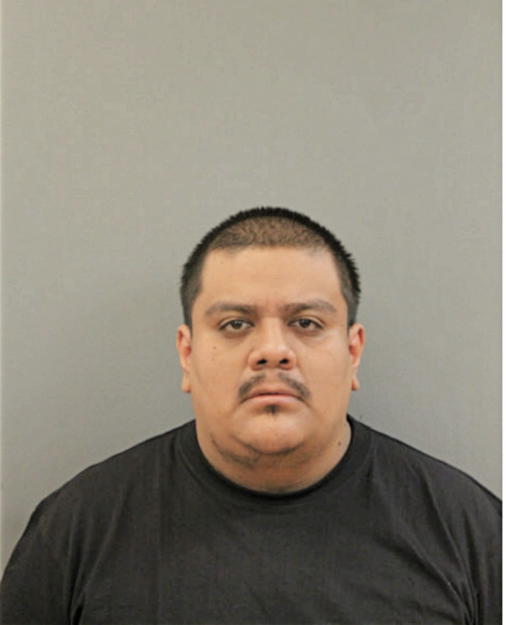 ROBERTO BANDERA, Cook County, Illinois