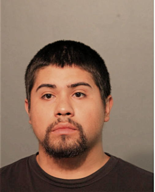 JOSUE N BELTRAN, Cook County, Illinois